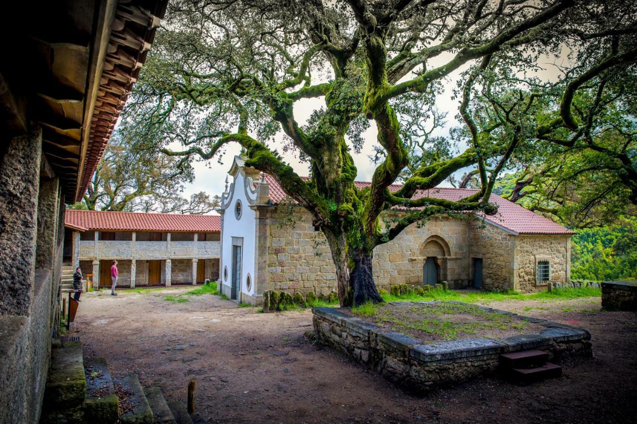 Casa Da Vila Cerveira 维拉·诺瓦·达·塞尔维尔 外观 照片